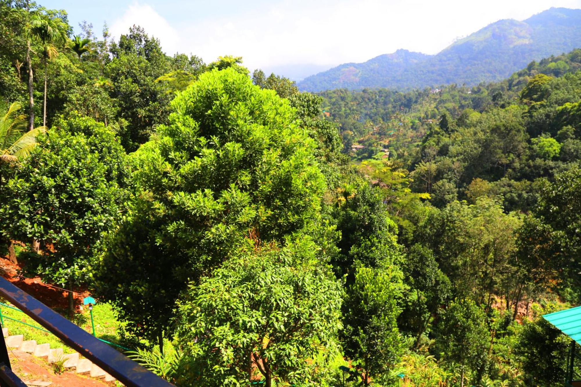 Green Magic Riverside Resort Munnar Kültér fotó